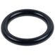 Прокладка O-Ring 13.95x2.62mm для газового котла BIASI M290 494066 фото 1